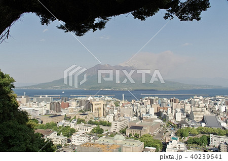 春の鹿児島県　城山展望所からの眺める桜島 40239641