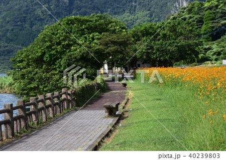 湖畔の花畑とベンチの写真素材