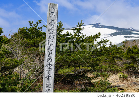 この上の空がほんとの空です の標識の写真素材