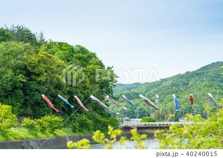 鯉のぼりが泳ぐ風景 40240015