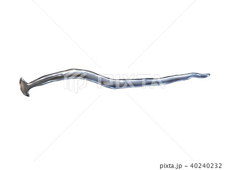 コウガイビル コウガイビル 40240232