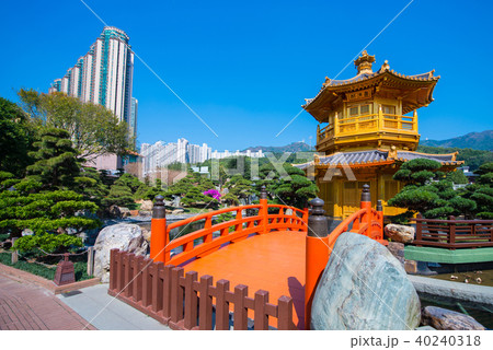 The golden pavilion and red bridge 40240318
