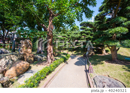 Nan Lian garden - beautiful garden in town 40240321
