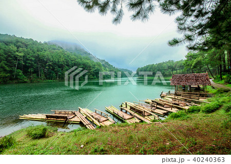 Famous Place, Forest, Tropical Climate, Winter 40240363