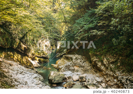 Martvili Canyon, Georgia. Landscape Abasha River. Natural Monuments 40240873
