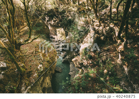Martvili Canyon, Georgia. Landscape Abasha River. Natural Monuments 40240875