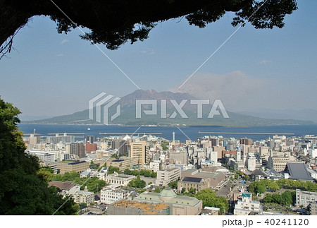 春の鹿児島県　城山展望所からの眺める桜島 40241120