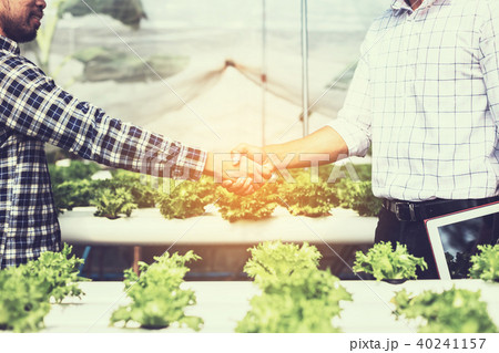 farmer observing growth vegetable 40241157