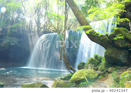 春の鍋ケ滝 春の鍋ケ滝 40241347