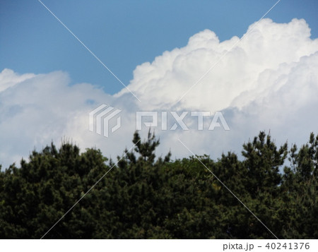 初夏の青空に白い雲 初夏の青空に白い雲 40241376