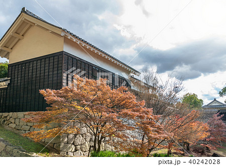 松山城二の丸 黒門口登城道の秋景色 松山城二の丸 黒門口登城道の秋景色 40242028