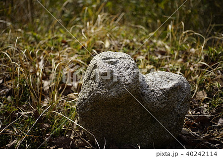道祖神 南田原 里山 一本松山 兵庫県猪名川町 道祖神 南田原 里山 一本松山 兵庫県猪名川町 40242114