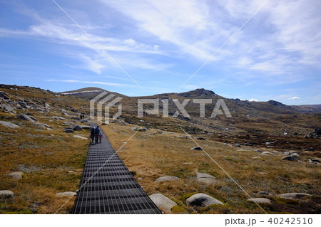 オーストラリア大陸最高峰コジオスコ山 40242510