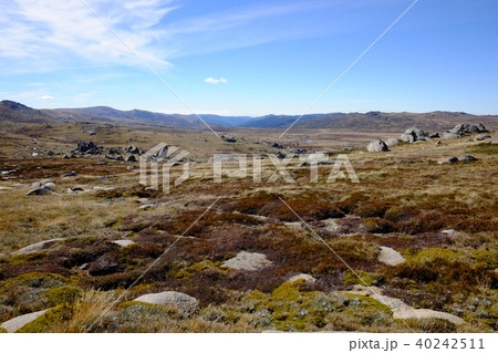 オーストラリア大陸最高峰コジオスコ山 40242511