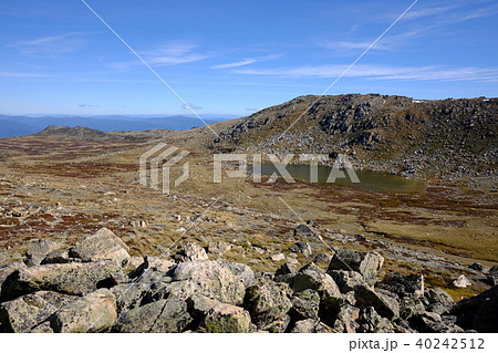 オーストラリア大陸最高峰コジオスコ山 40242512
