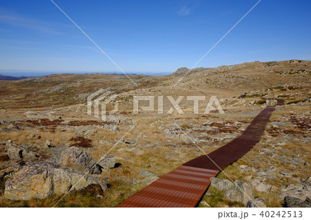 オーストラリア大陸最高峰コジオスコ山 40242513