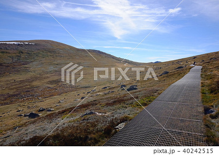 オーストラリア大陸最高峰コジオスコ山 40242515