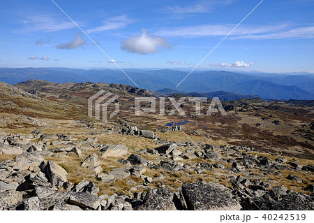 オーストラリア大陸最高峰コジオスコ山 40242519