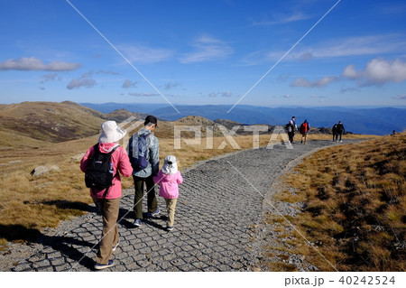 オーストラリア大陸最高峰コジオスコ山 40242524