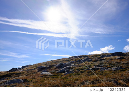 オーストラリア大陸最高峰コジオスコ山 40242525