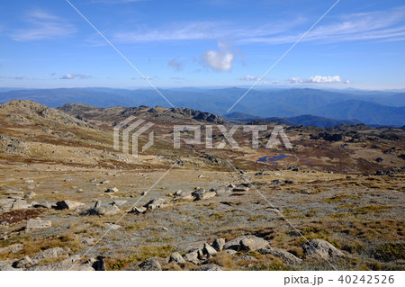 オーストラリア大陸最高峰コジオスコ山 40242526