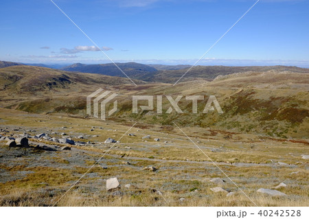 オーストラリア大陸最高峰コジオスコ山 40242528