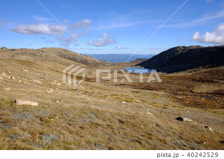 オーストラリア大陸最高峰コジオスコ山 40242529