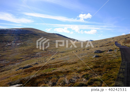 オーストラリア大陸最高峰コジオスコ山 40242531