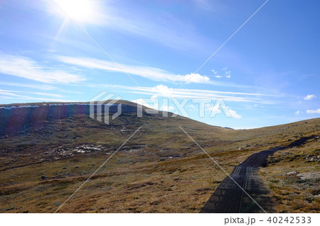 オーストラリア大陸最高峰コジオスコ山 40242533