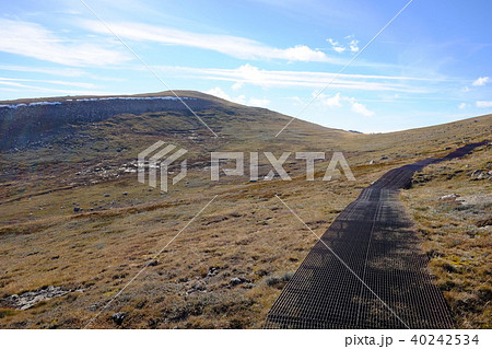 オーストラリア大陸最高峰コジオスコ山 40242534