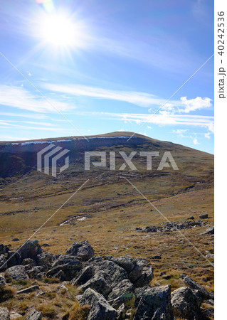 オーストラリア大陸最高峰コジオスコ山 40242536