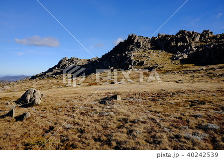 オーストラリア大陸最高峰コジオスコ山 40242539