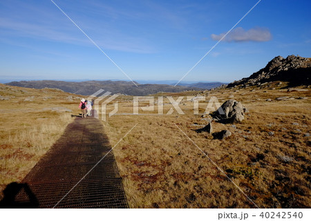 オーストラリア大陸最高峰コジオスコ山 40242540