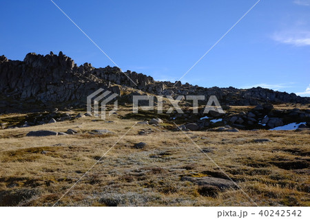 オーストラリア大陸最高峰コジオスコ山 40242542