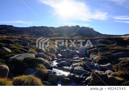 オーストラリア大陸最高峰コジオスコ山 40242543