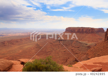 Canyonlands National Park panorama 40242895
