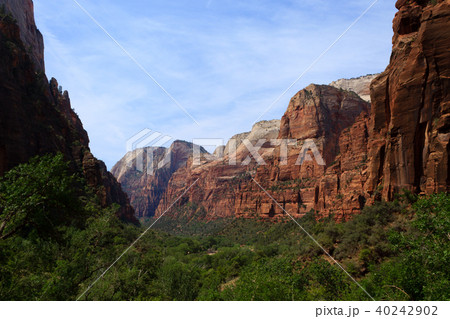 Panorama from Zion National Park 40242902