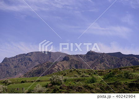 阿蘇 初夏の風景 阿蘇 初夏の風景 40242904