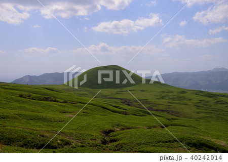 阿蘇　初夏の風景 40242914