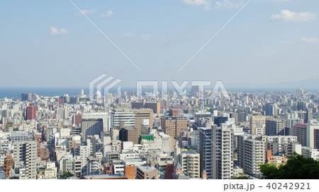 春の鹿児島　城山展望所からの眺望　市街地 40242921