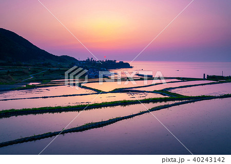 棚田の夕景 棚田の夕景 40243142