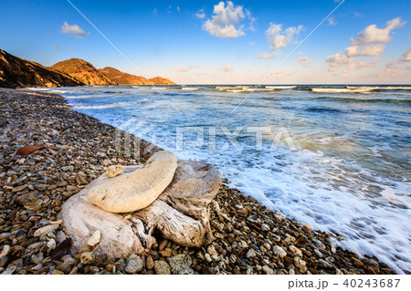 Beach scene in British Virgin Islands 40243687