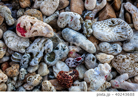 Pebbles and coral background 40243688