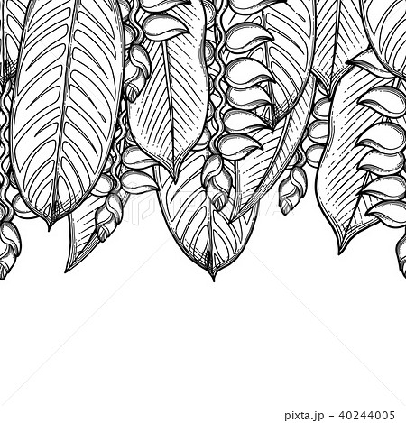 Graphic heliconia design 40244005