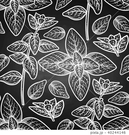 Graphic oregano pattern 40244146