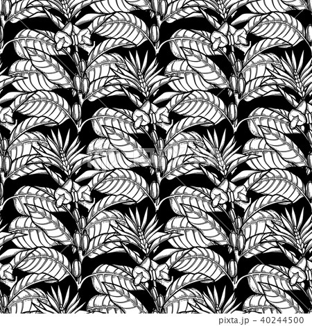 Graphic sesame pattern 40244500