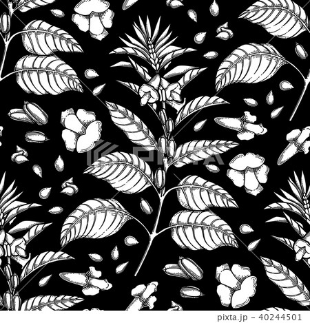 Graphic sesame pattern 40244501