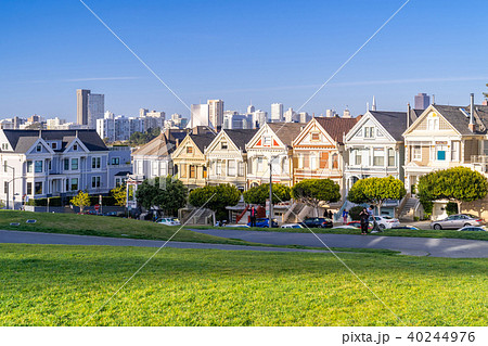 Painted ladies San Francisco Painted ladies San Francisco 40244976