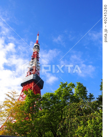 東京タワー 40245260