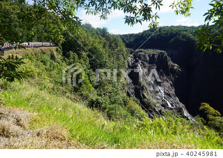 キュランダ高原列車 40245981